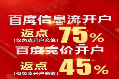实战解析：百度竞价排名服务成功案例